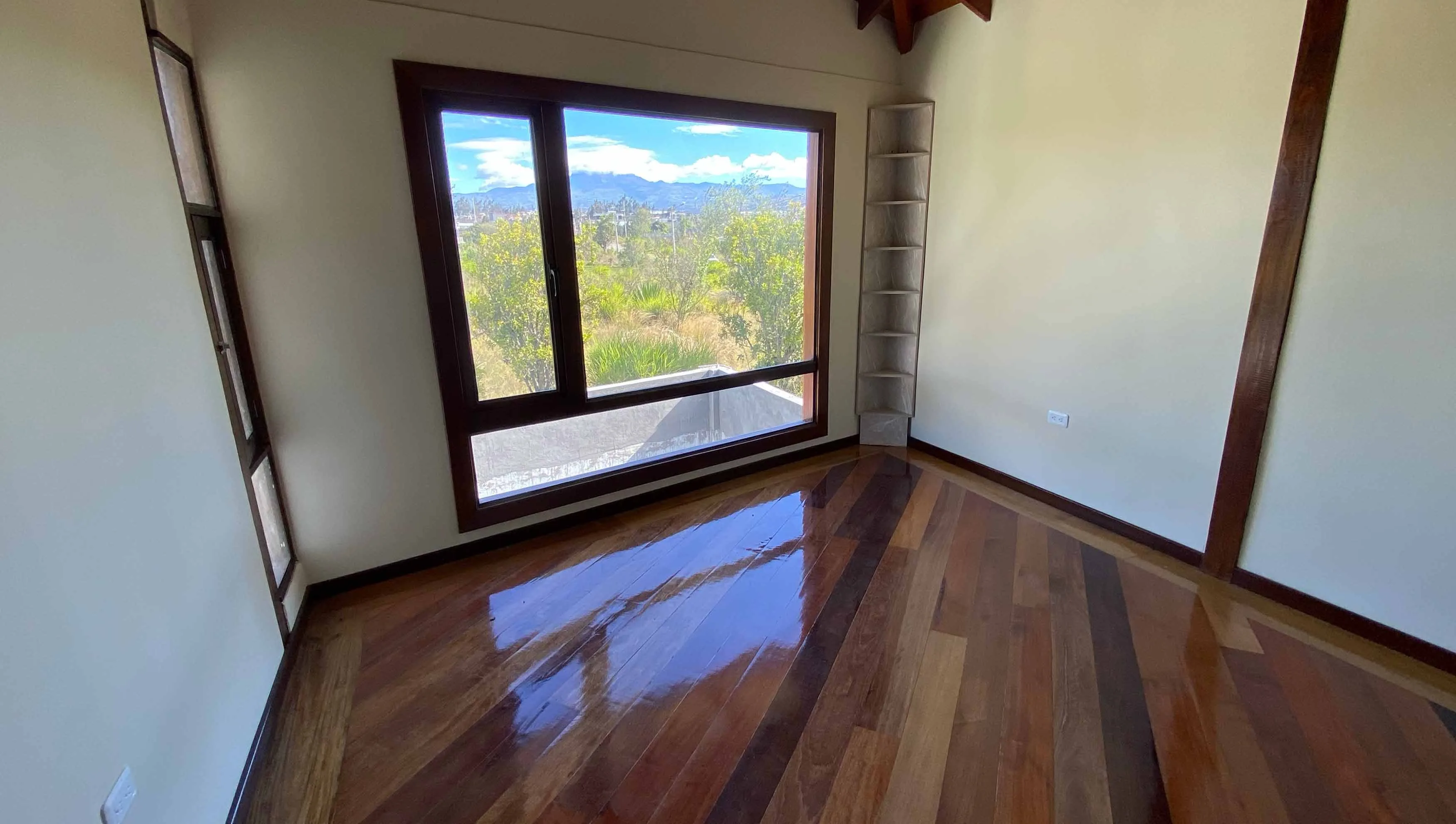 Vista 5