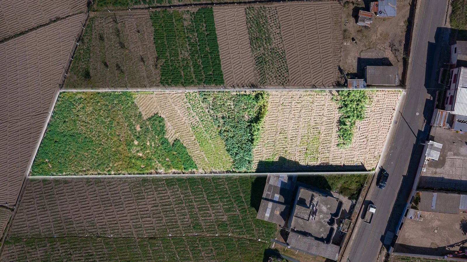Vista 3