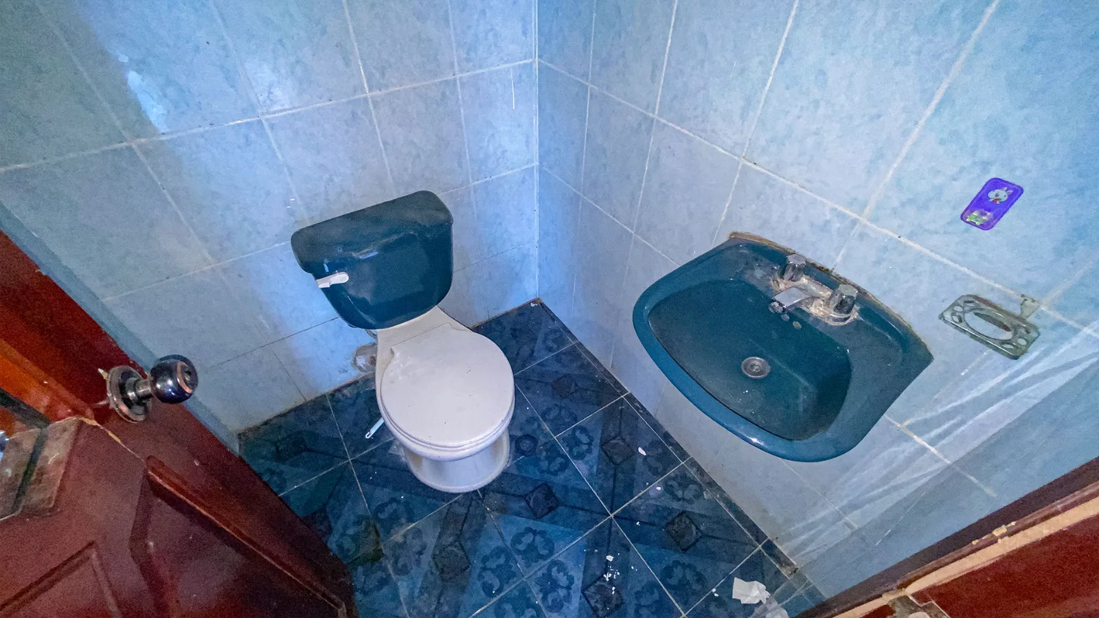 Vista 5