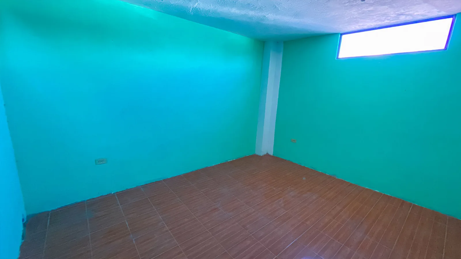 Vista 5