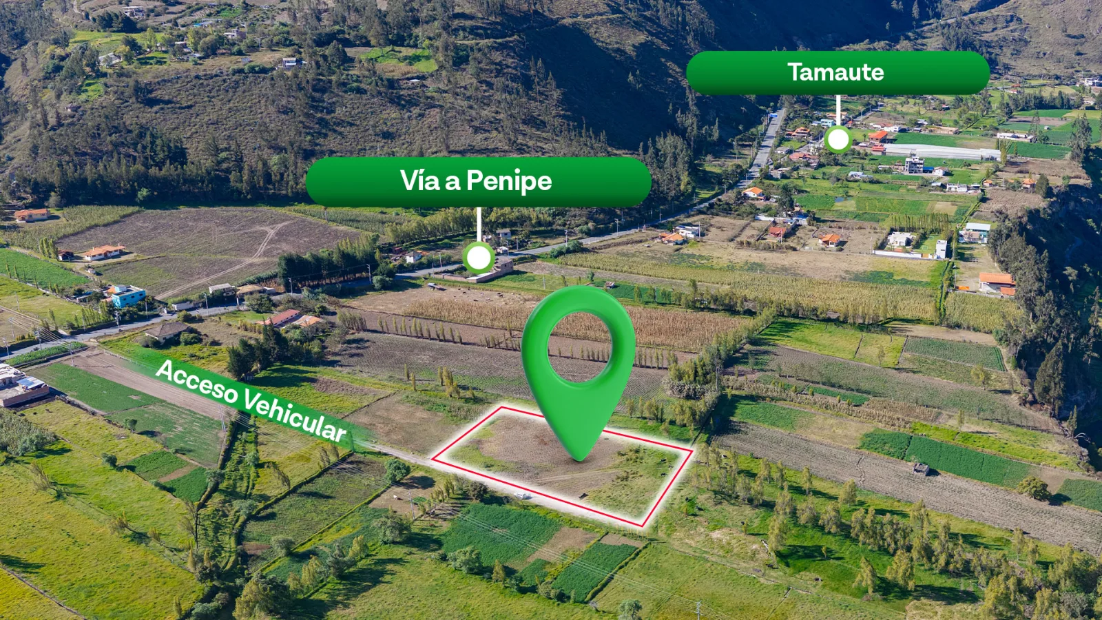 Vista 3