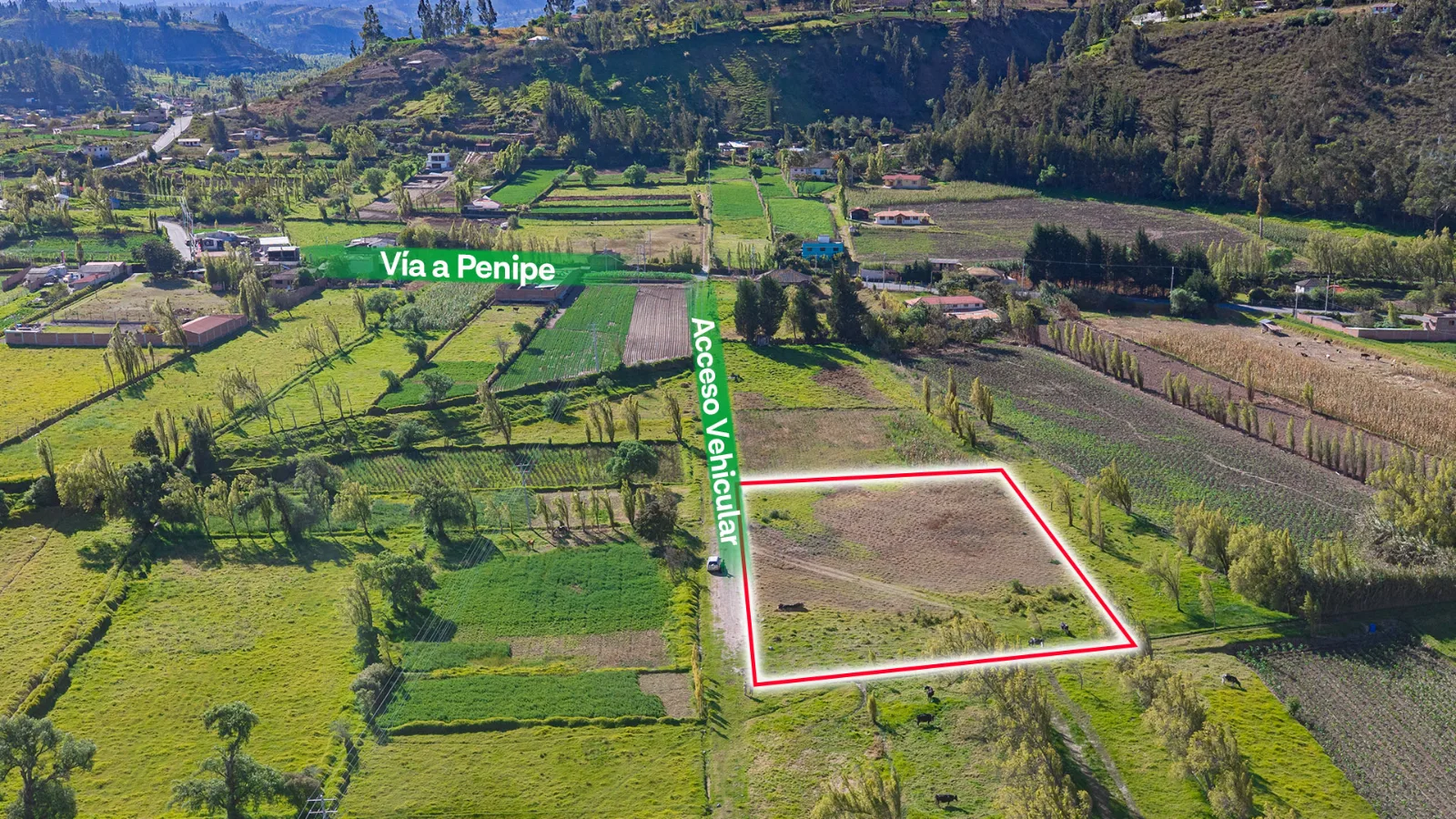 Vista 2
