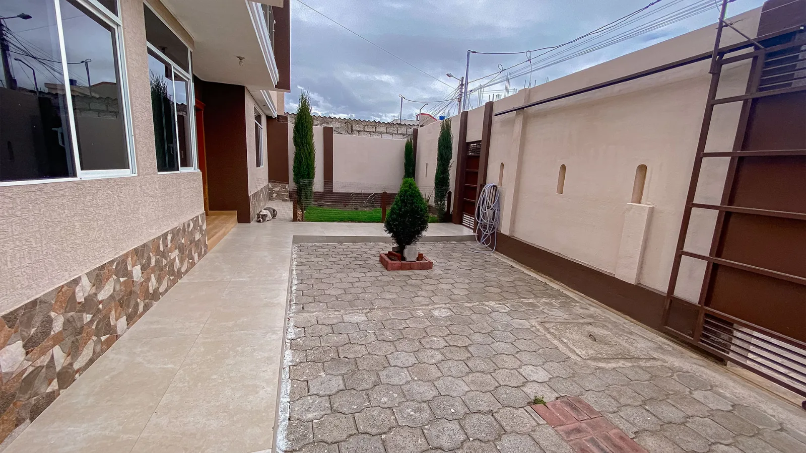 Vista 5