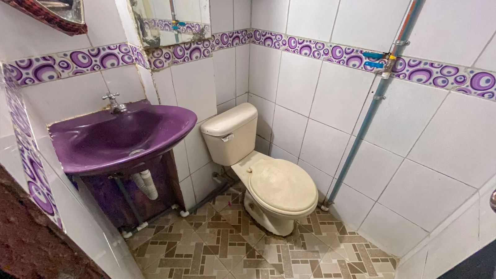 Vista 5