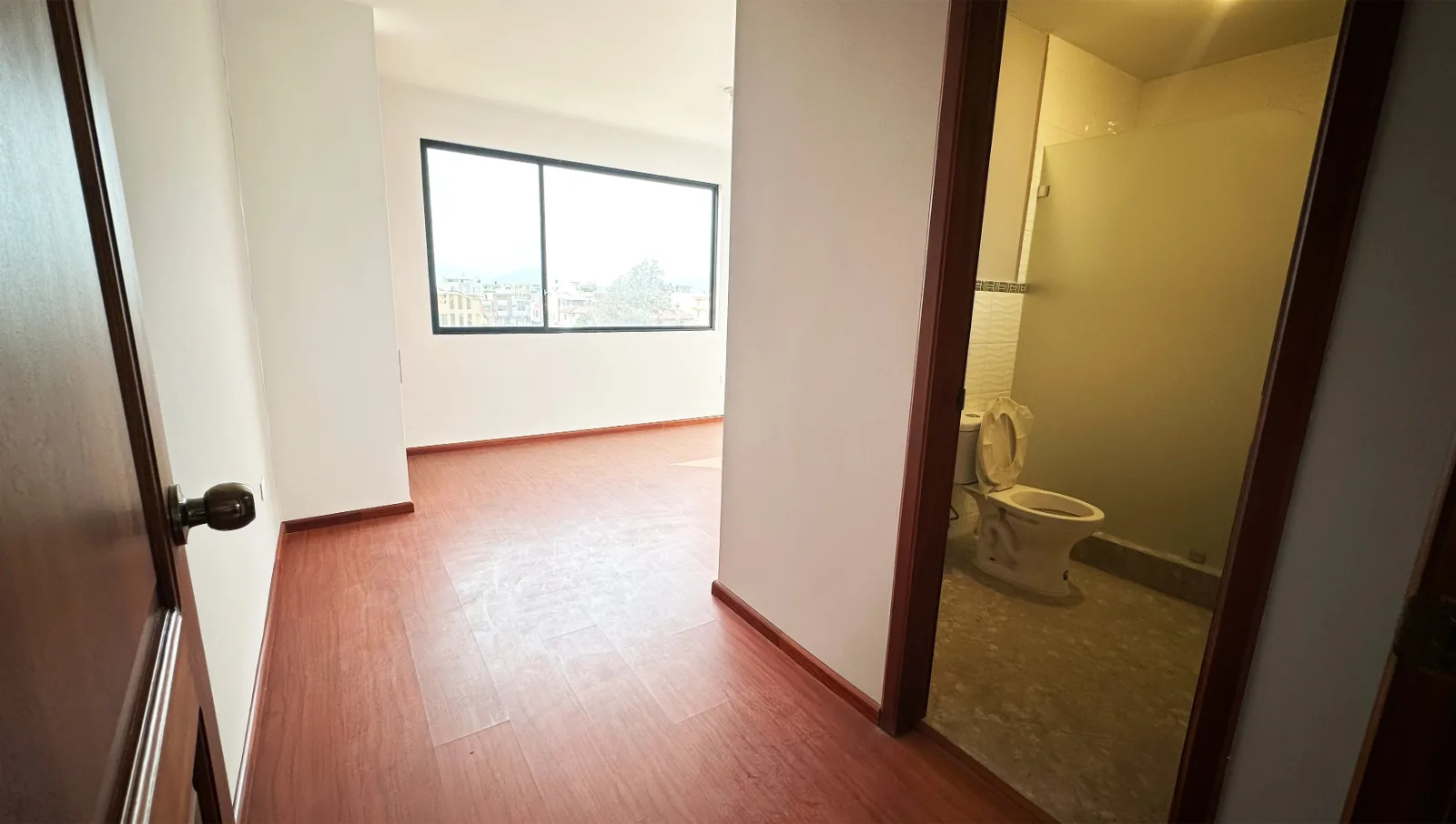 Vista 6