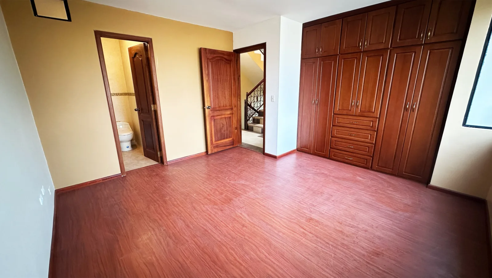 Vista 5