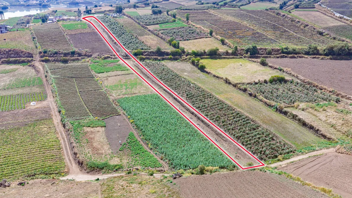Terreno en Tisaleo, Barrio La Esperanza · Terrenos en Tisaleo