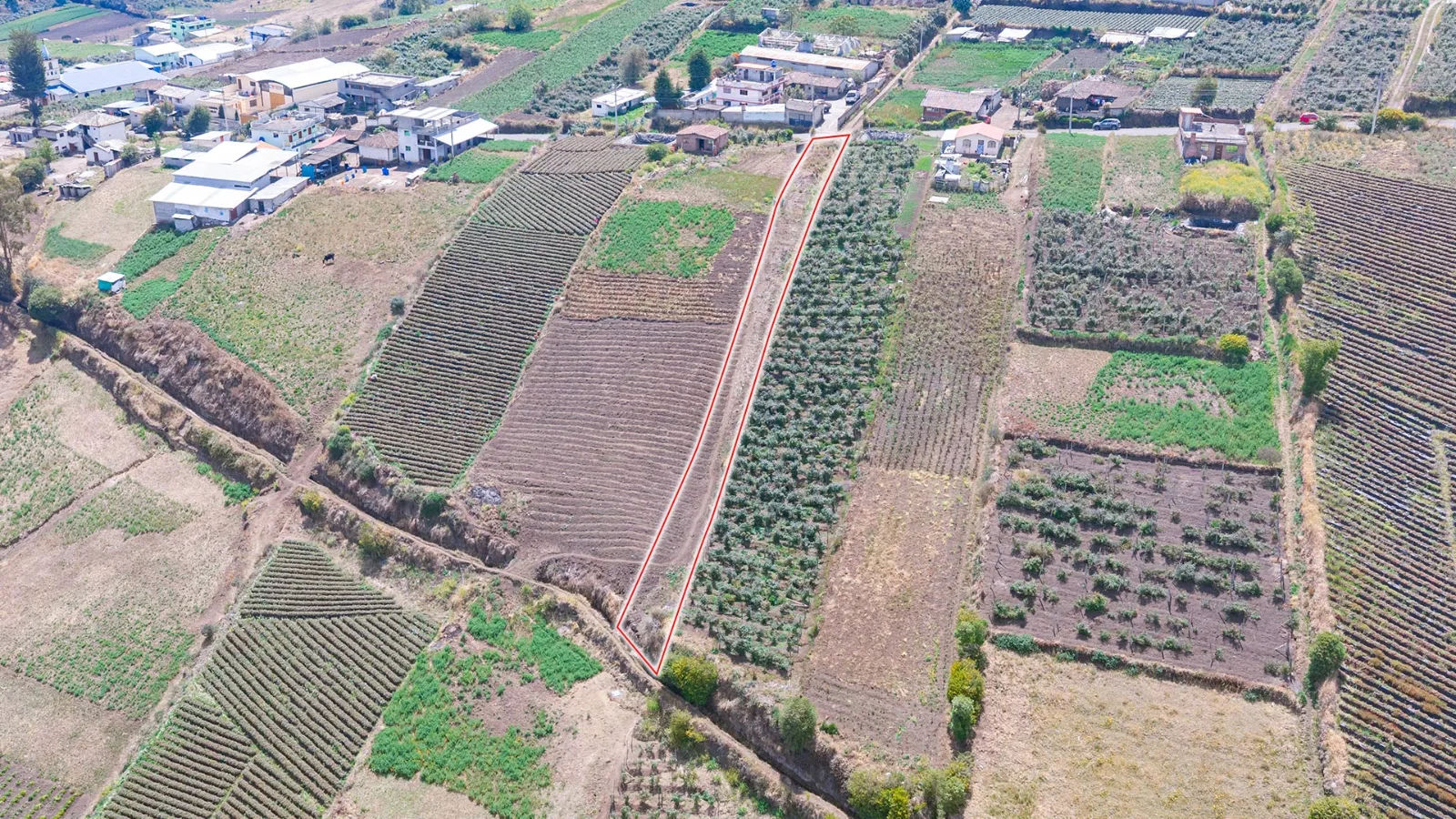Vista 3